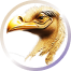 login image